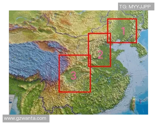 上海排球队防守策略解析与战术创新探讨