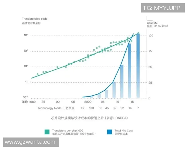 深度对话周伟探寻王者荣耀背后的成长与挑战人生之路