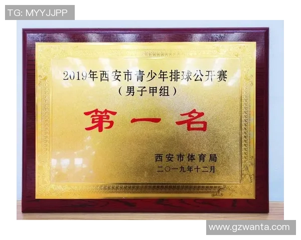 武汉排球队在全国排球灵活性排行榜中荣获第六名的佳绩分析