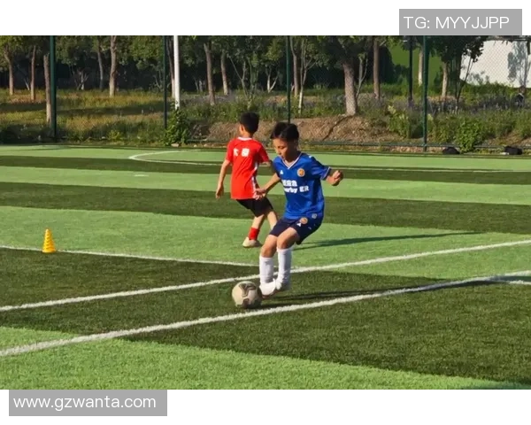 足球新改革助力青训发展与职业联赛提升共创美好未来