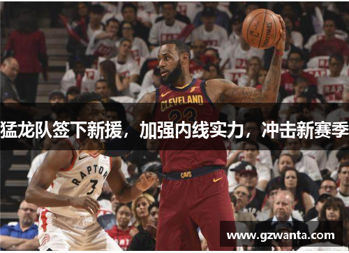 猛龙队签下新援，加强内线实力，冲击新赛季