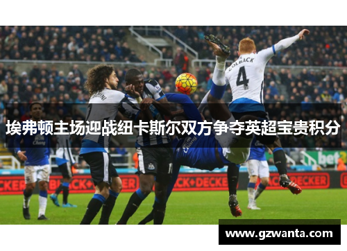 埃弗顿主场迎战纽卡斯尔双方争夺英超宝贵积分